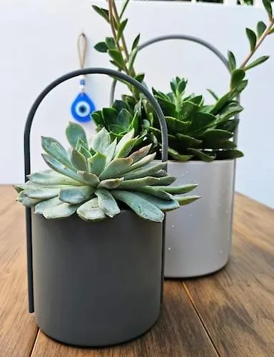 Mint 아파트 Rhodes City