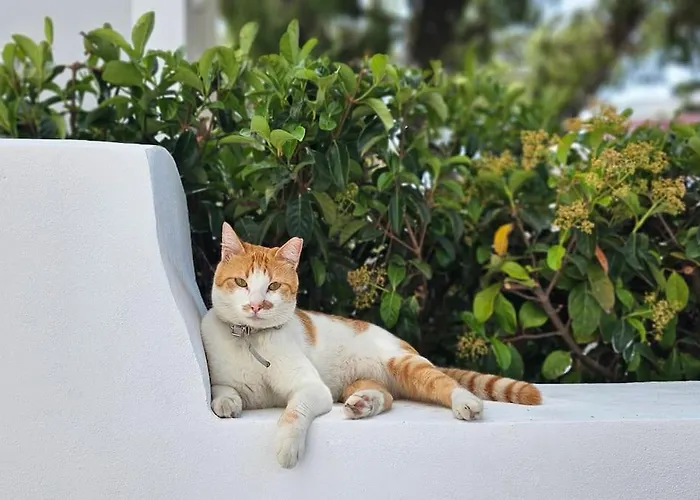 아파트 Mint Rhodes City