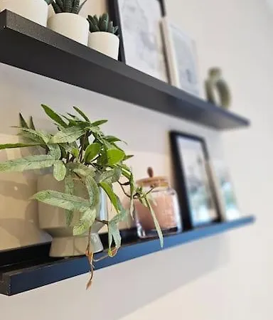 Apartmán Mint